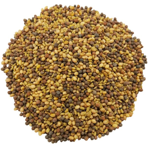 Organic Antioxidant Mix of Sprouting Seeds