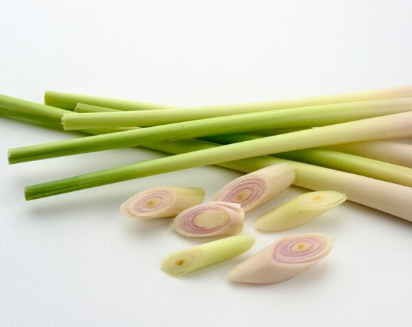 Dried Lemongrass Leaves - Image 5