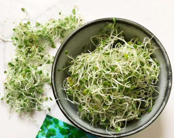 Organic Antioxidant Mix of Sprouting Seeds - Image 2